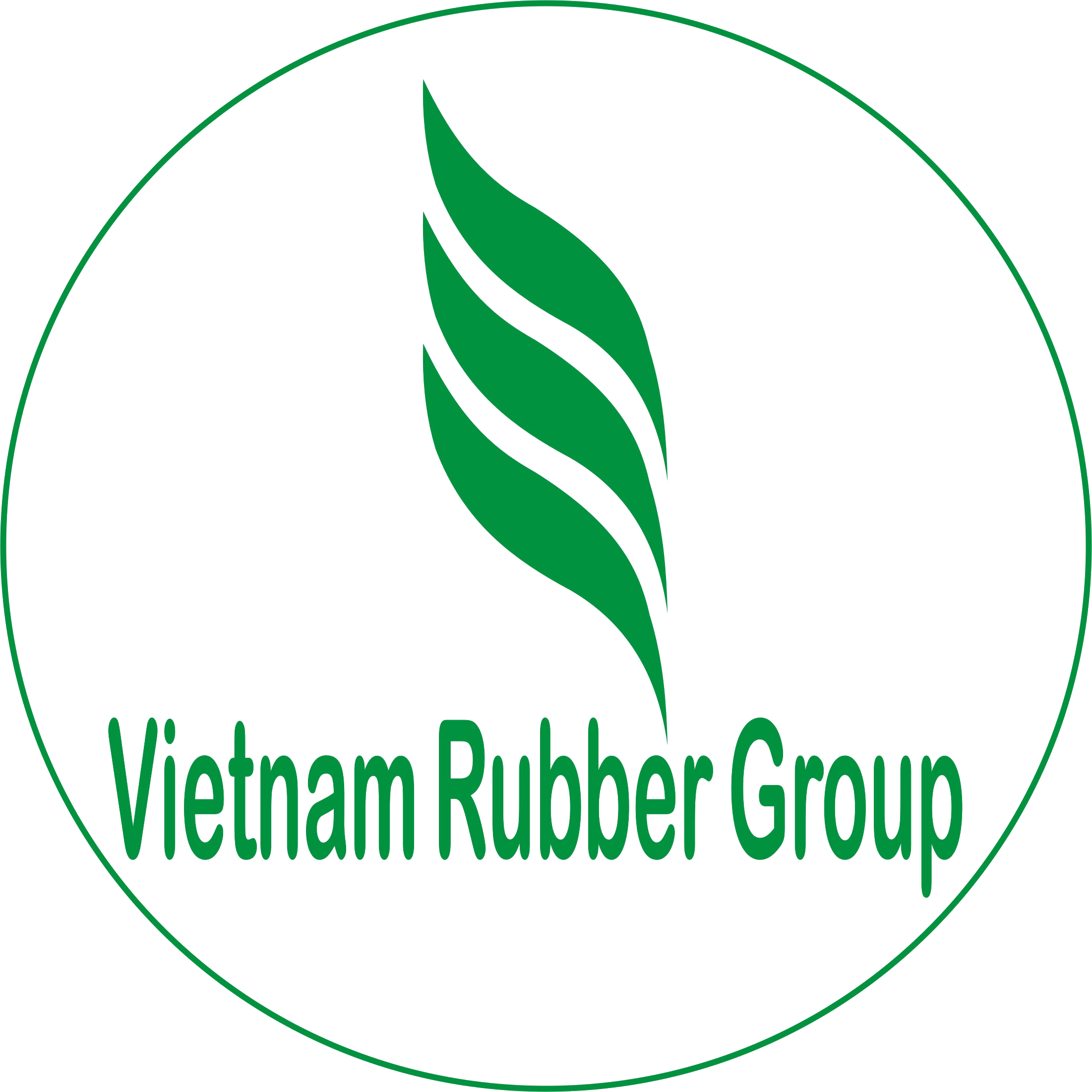 logo_VRG