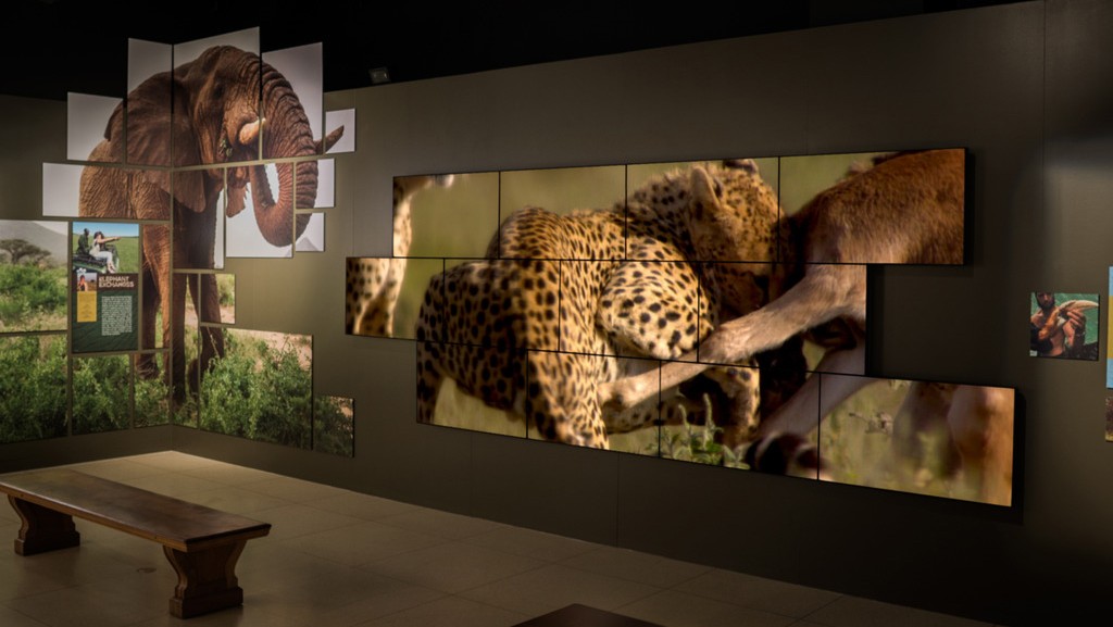 Videowall-Planar-National-Geographic-Museum-Washington-3